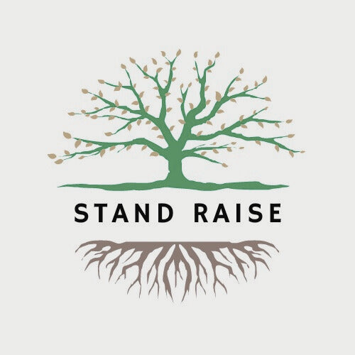 Stand Raise